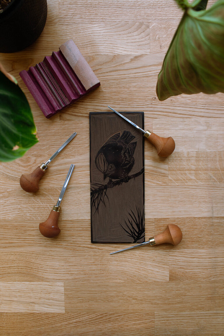 bovenaanzicht linoleum en linogutsen