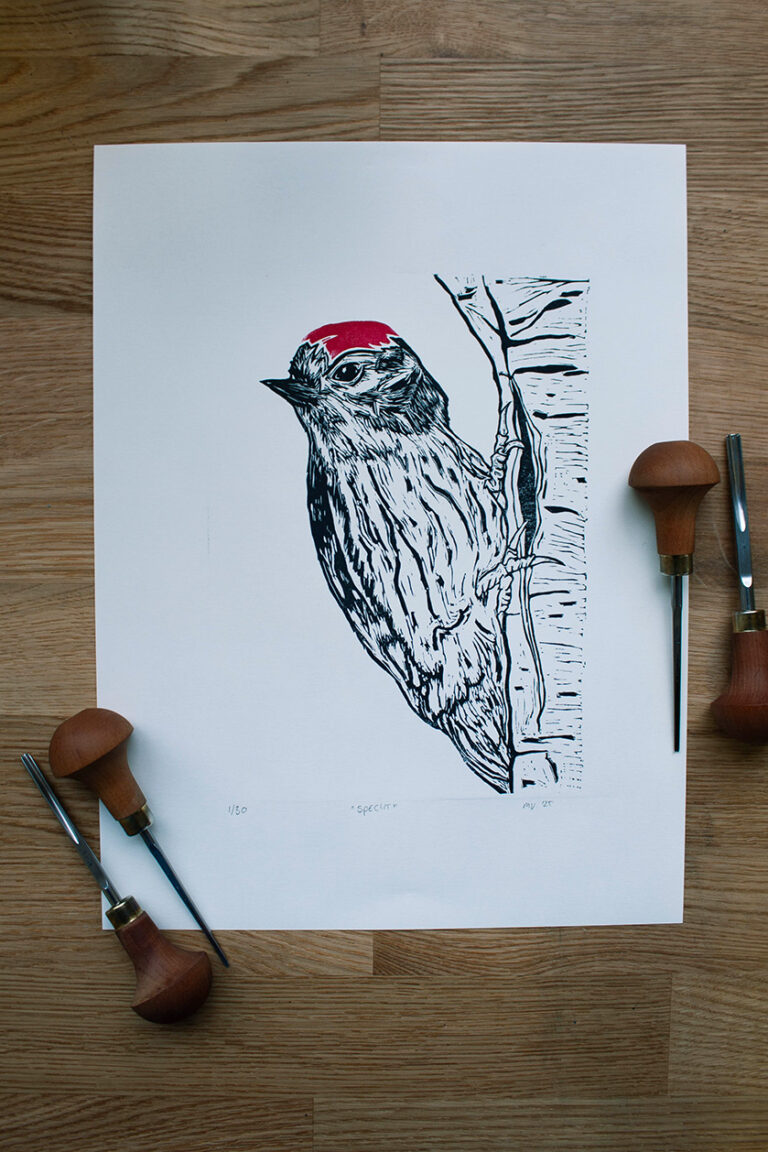 linoleumprent van specht met boom, gedrukt op papier. Met linogutsen