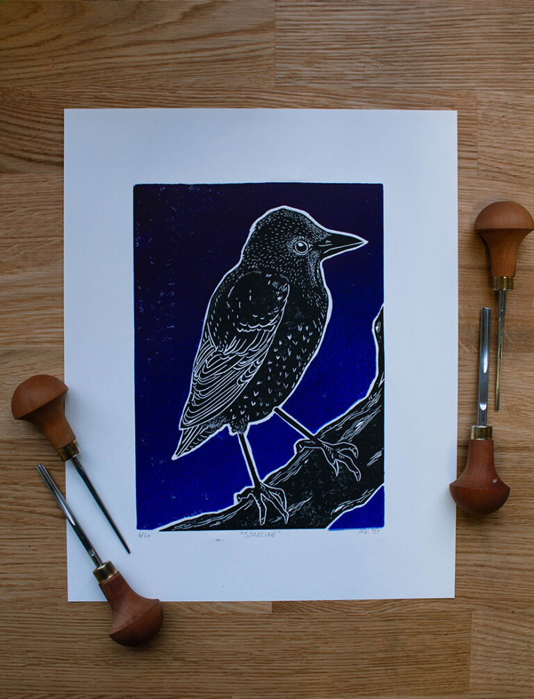 linoleumprent van zwarte spreeuw met gradiënt paars-blauwe achtergrond, gedrukt op papier. Met linogutsen